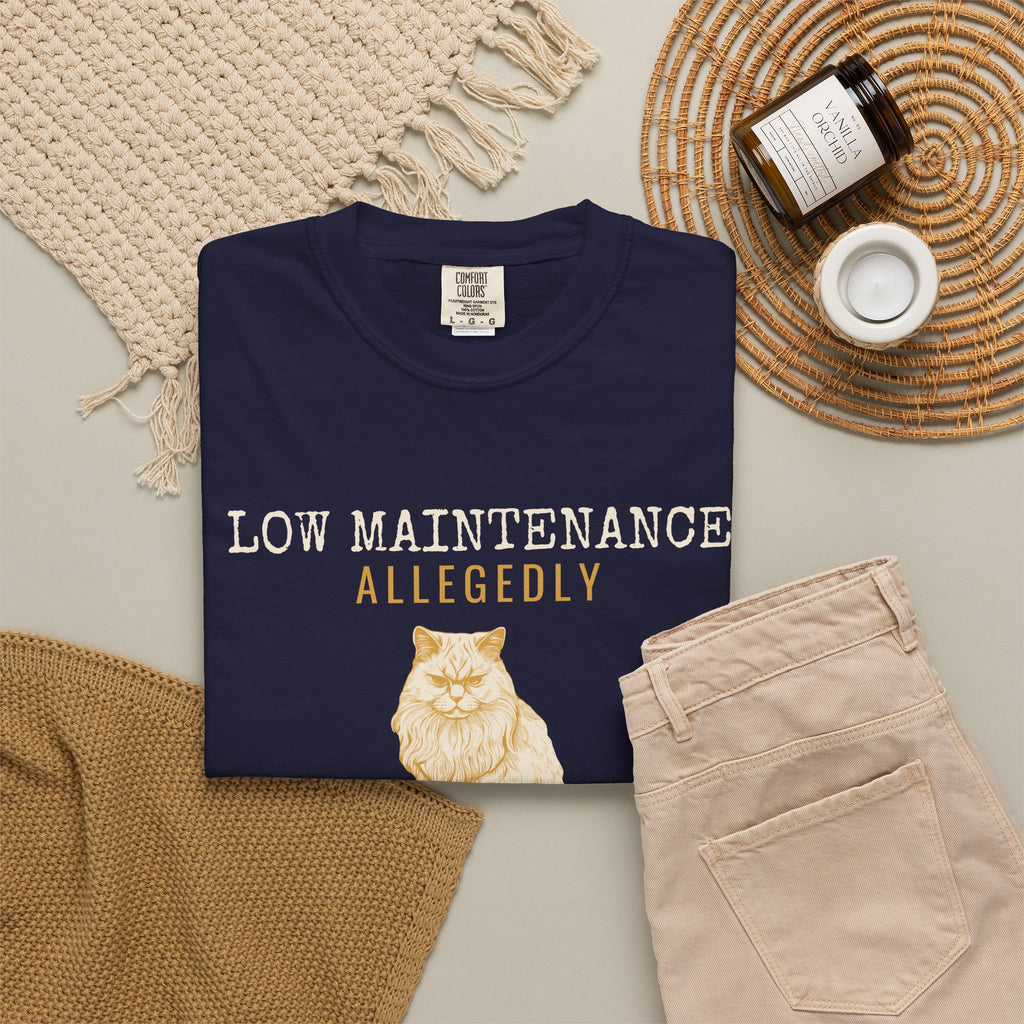 Foster Parent Shirt - Low Maintenance Allegedly Tee