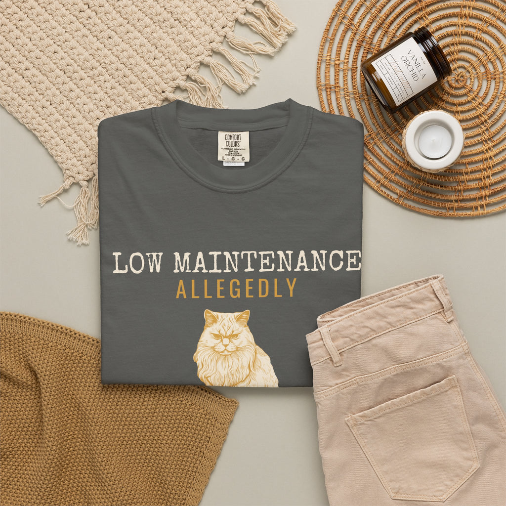 Foster Parent Shirt - Low Maintenance Allegedly Tee