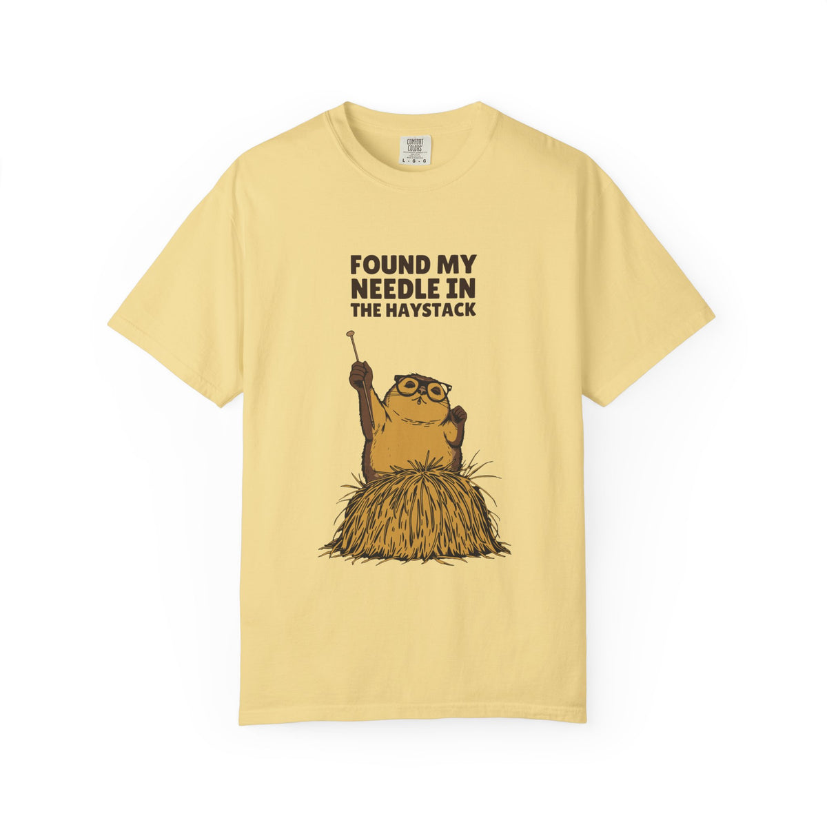 Vinyl Record Collector Shirt - Found My Needle in the Haystack Tee