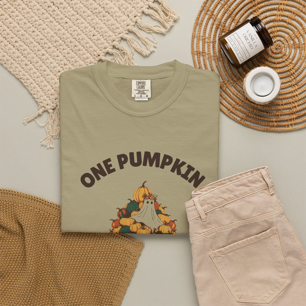 One Pumpkin Was Never the Plan Shirt Decor Lover Tee