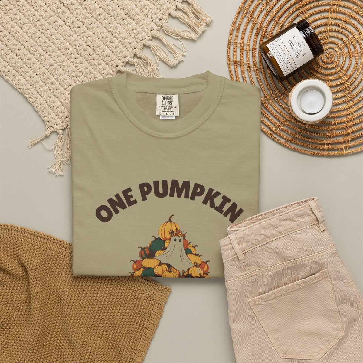 One Pumpkin Was Never the Plan Shirt Decor Lover Tee