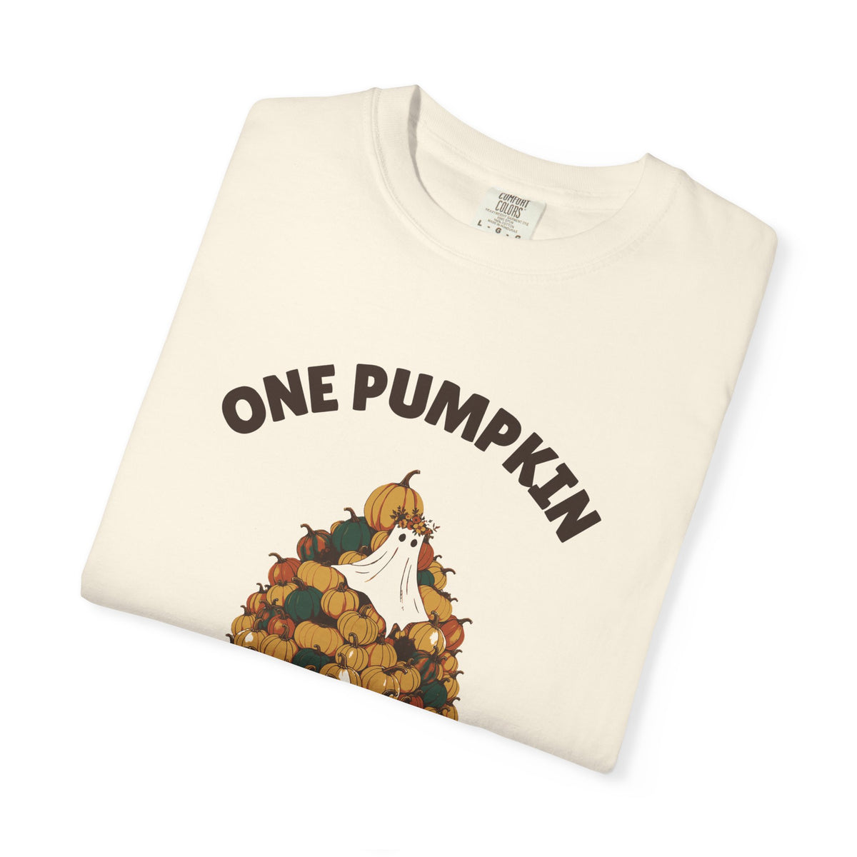 One Pumpkin Was Never the Plan Shirt Decor Lover Tee