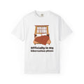 Winter Homebody Shirt - Officially in My Hibernation Phase Tee