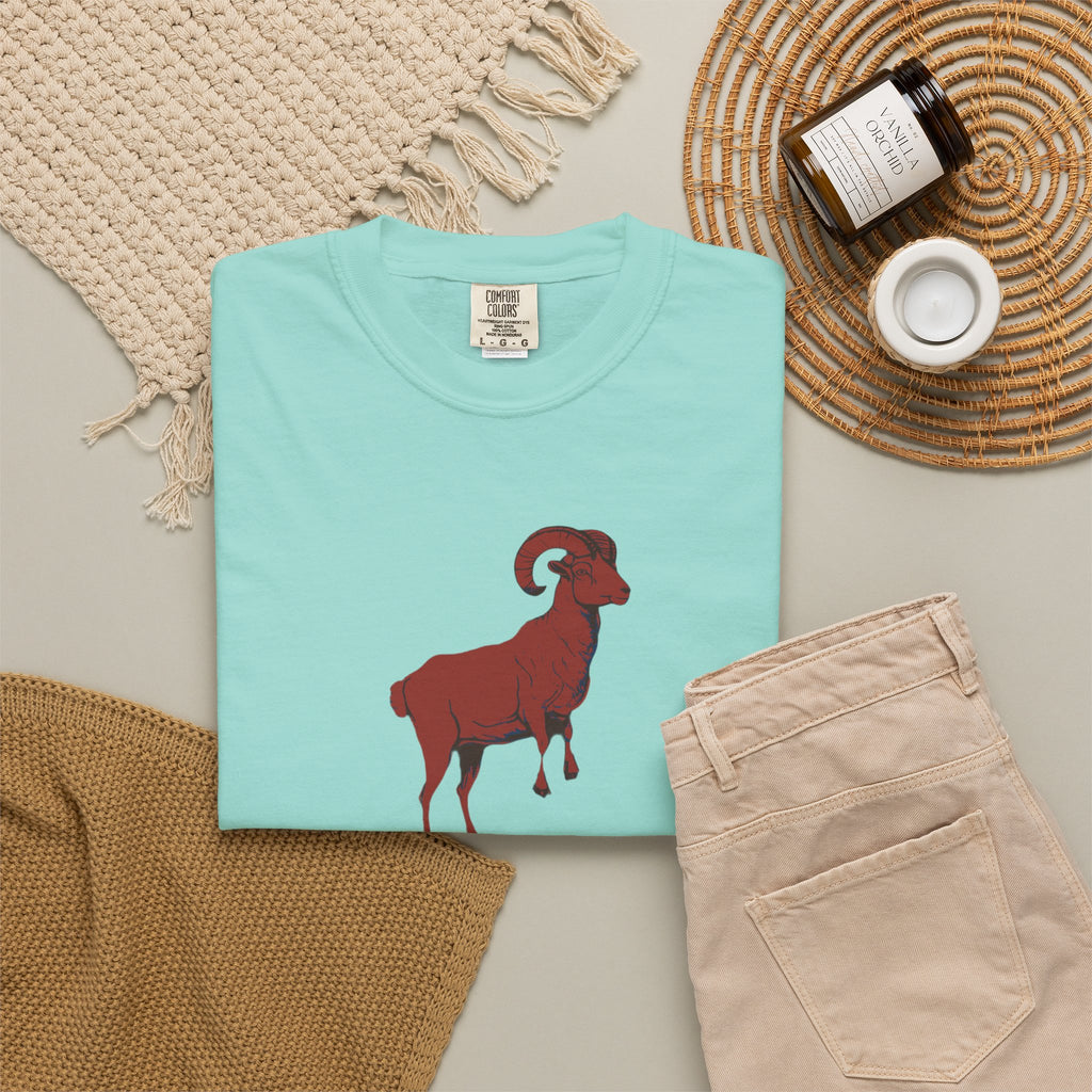 Zodiac Shirt - Aries Season Bold Impulsive and Fiercely Independent