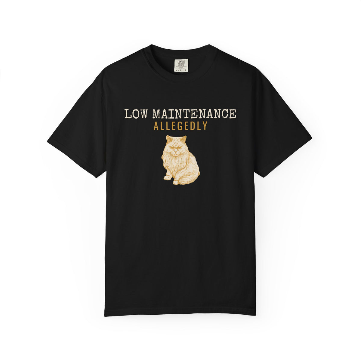 Foster Parent Shirt - Low Maintenance Allegedly Tee