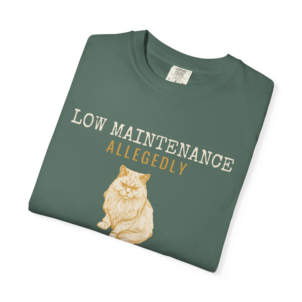 Foster Parent Shirt - Low Maintenance Allegedly Tee