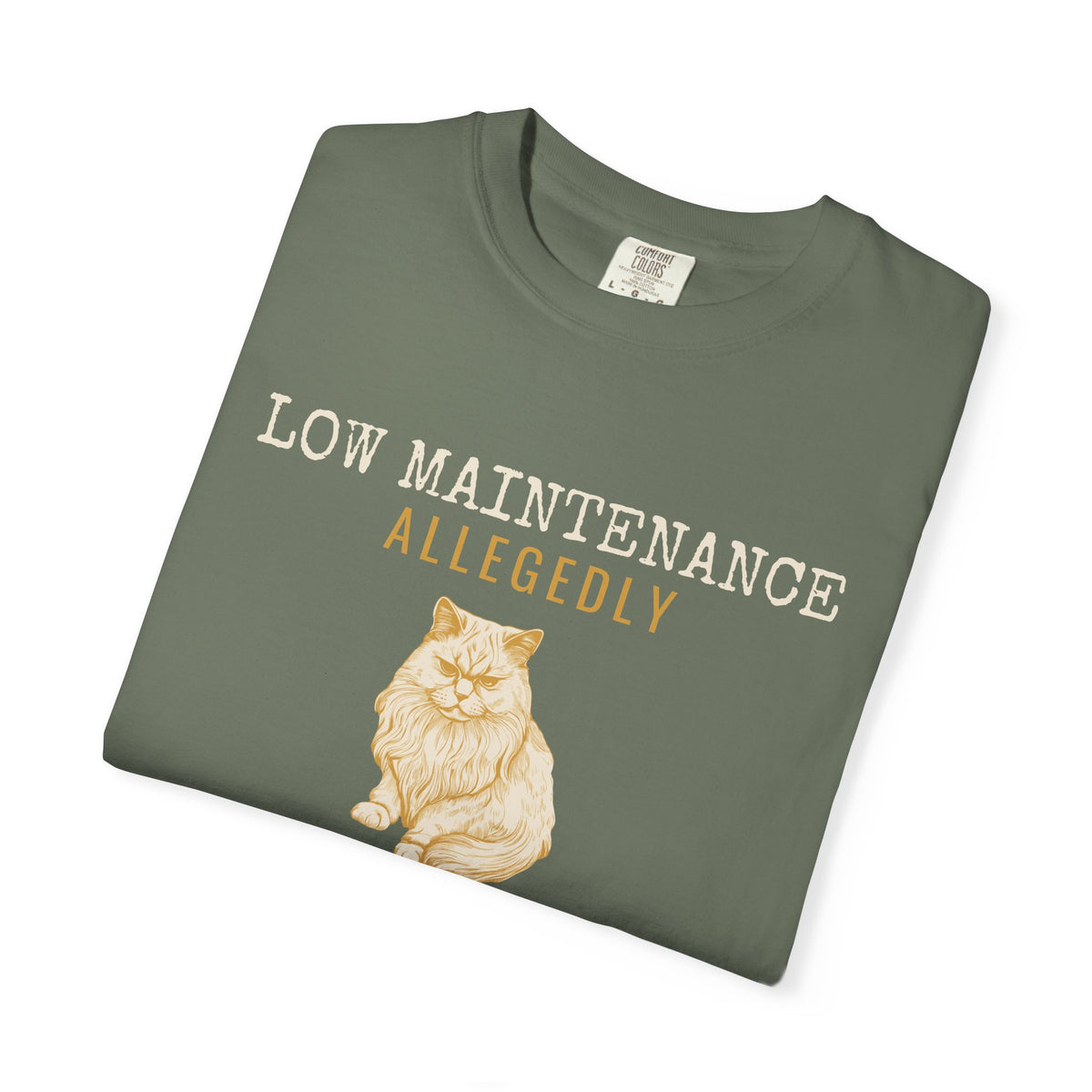 Foster Parent Shirt - Low Maintenance Allegedly Tee