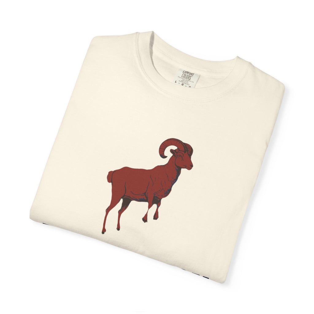 Zodiac Shirt - Aries Season Bold Impulsive and Fiercely Independent