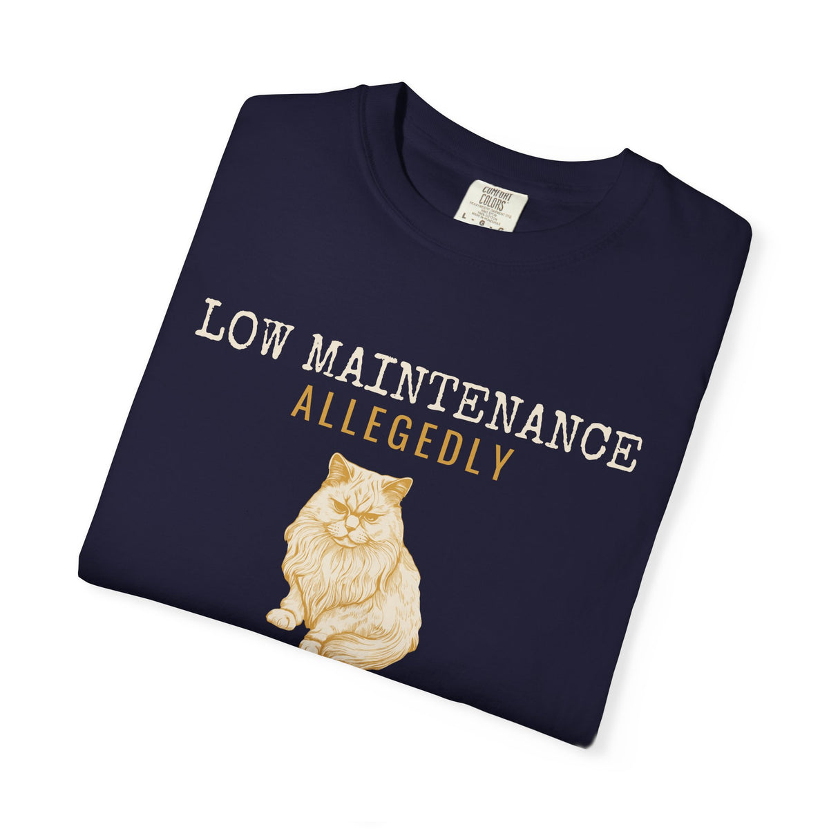 Foster Parent Shirt - Low Maintenance Allegedly Tee