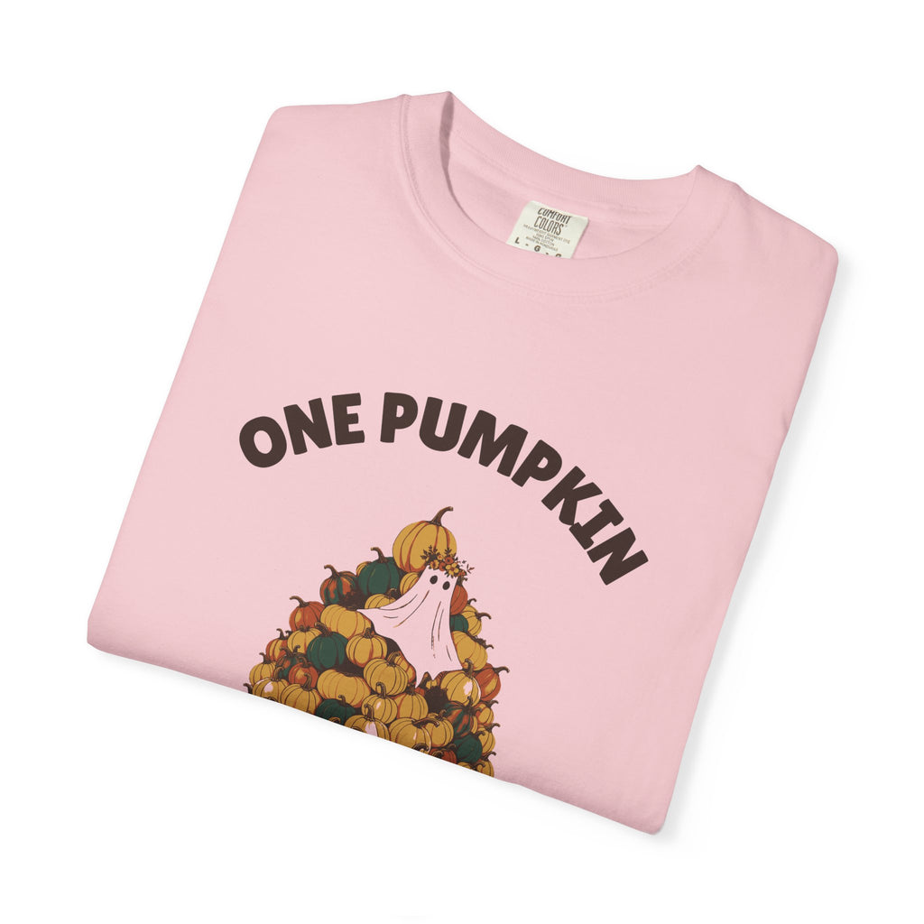 One Pumpkin Was Never the Plan Shirt Decor Lover Tee