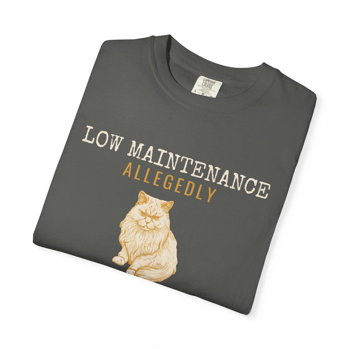 Foster Parent Shirt - Low Maintenance Allegedly Tee