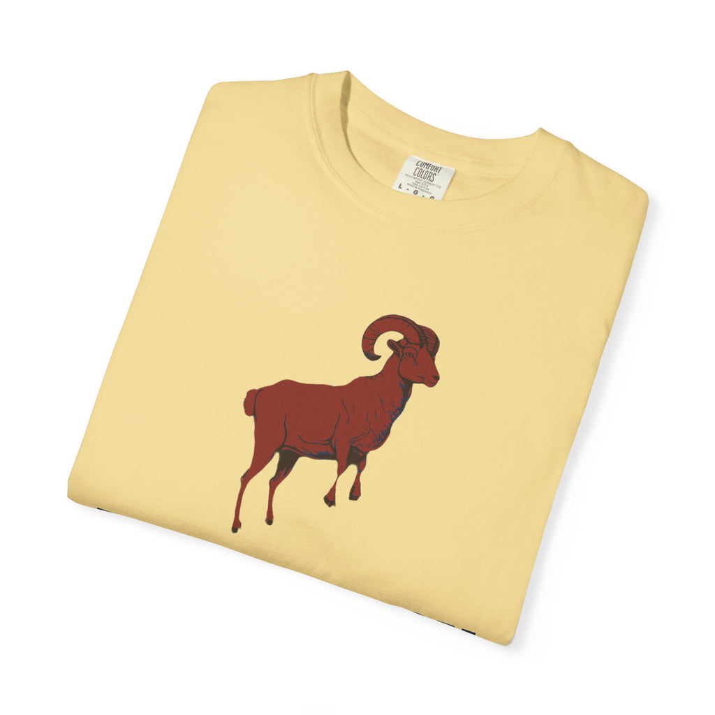 Zodiac Shirt - Aries Season Bold Impulsive and Fiercely Independent