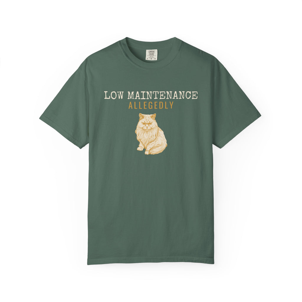 Foster Parent Shirt - Low Maintenance Allegedly Tee