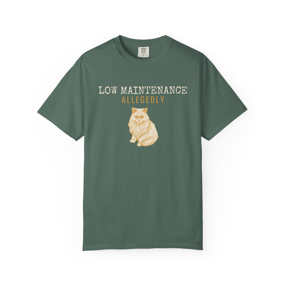Foster Parent Shirt - Low Maintenance Allegedly Tee