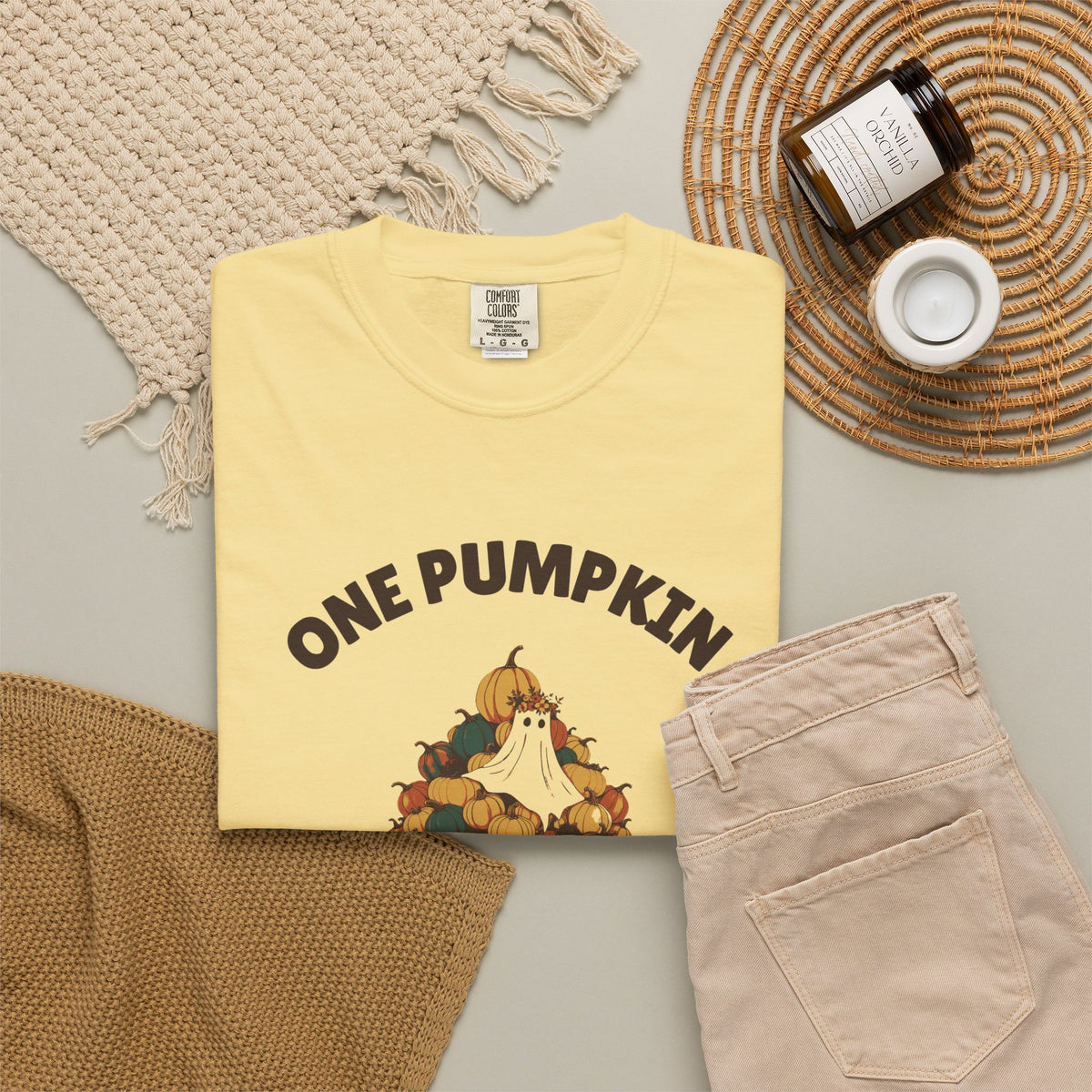 One Pumpkin Was Never the Plan Shirt Decor Lover Tee