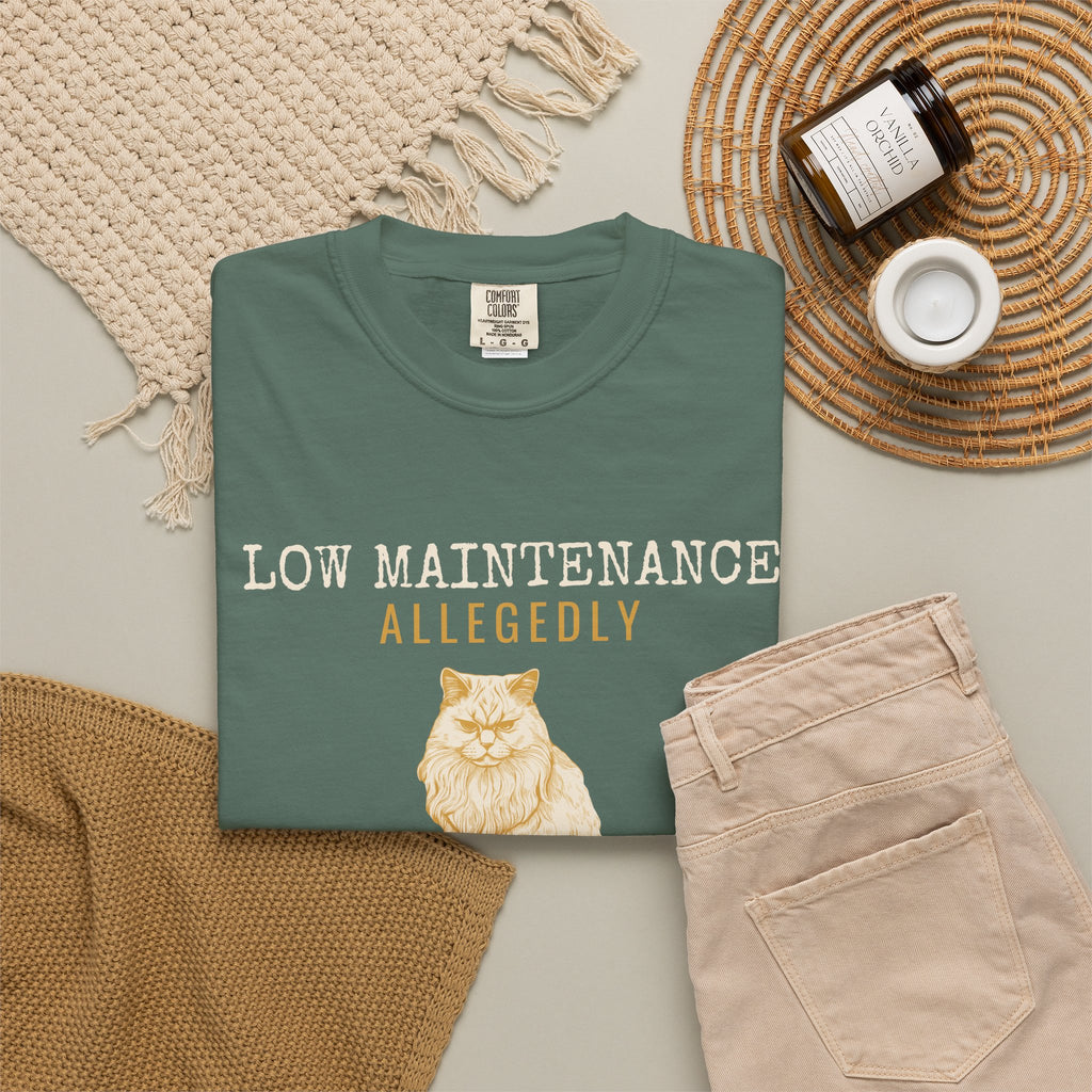 Foster Parent Shirt - Low Maintenance Allegedly Tee