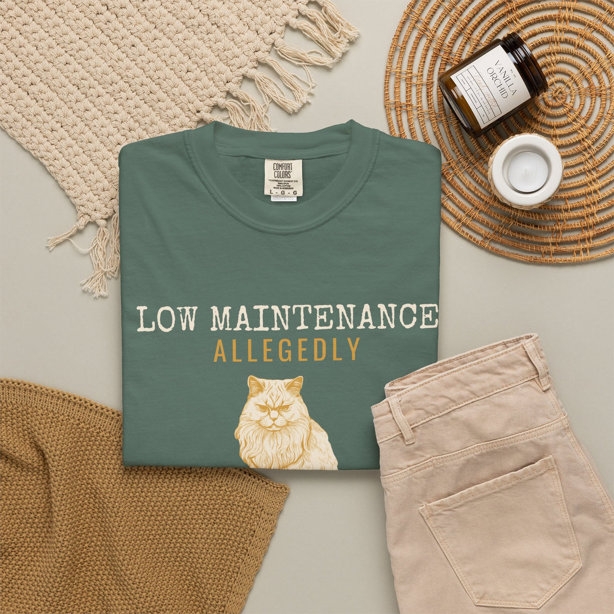 Foster Parent Shirt - Low Maintenance Allegedly Tee