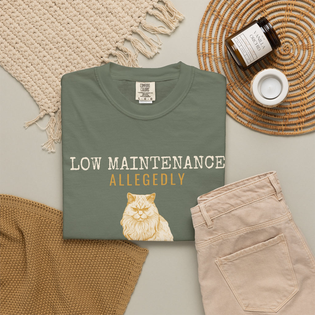 Foster Parent Shirt - Low Maintenance Allegedly Tee