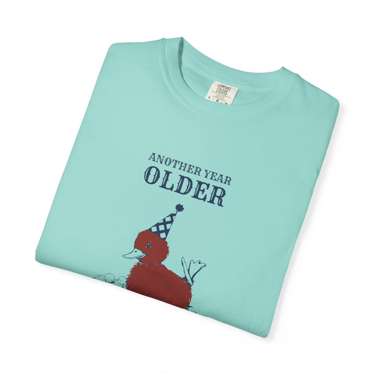 Birthday Gift Shirt - Another Year Older Not a Single Bit Wiser
