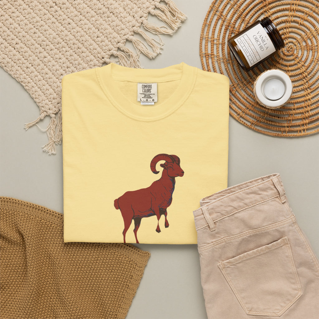 Zodiac Shirt - Aries Season Bold Impulsive and Fiercely Independent