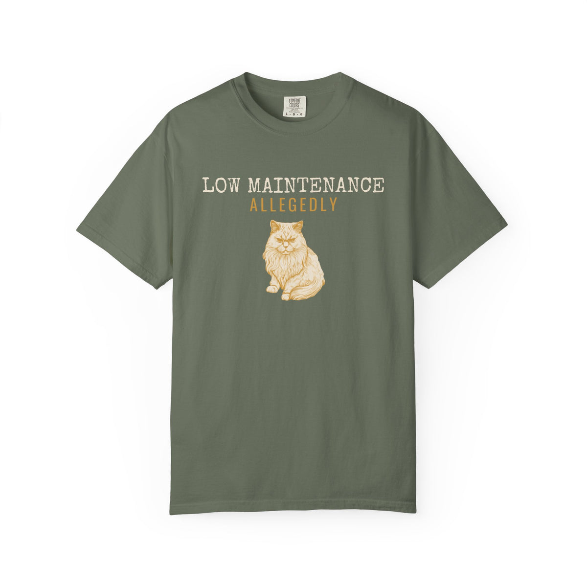 Foster Parent Shirt - Low Maintenance Allegedly Tee