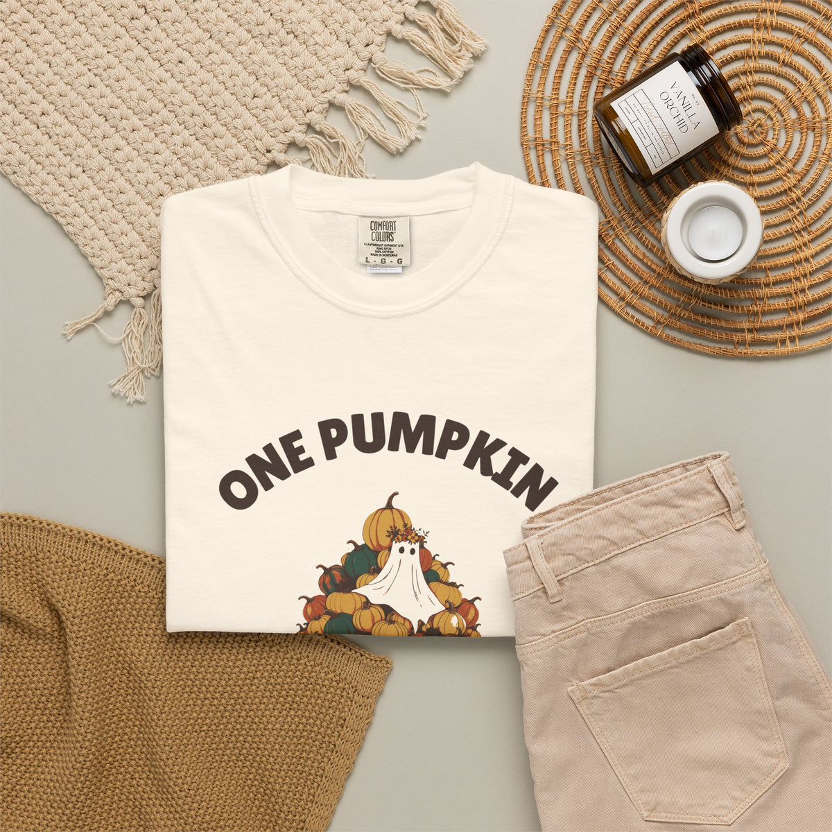 One Pumpkin Was Never the Plan Shirt Decor Lover Tee