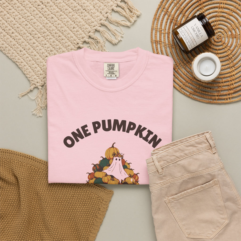 One Pumpkin Was Never the Plan Shirt Decor Lover Tee