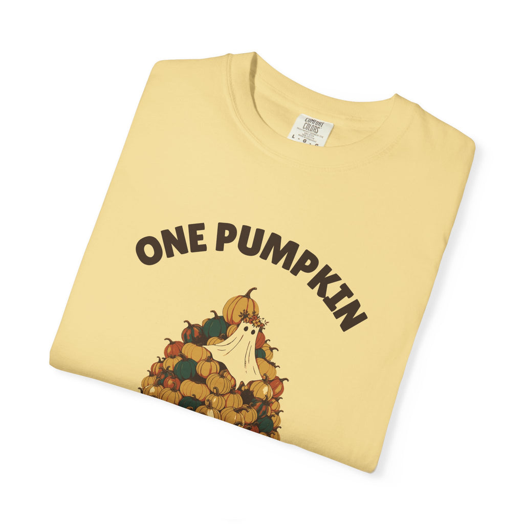 One Pumpkin Was Never the Plan Shirt Decor Lover Tee