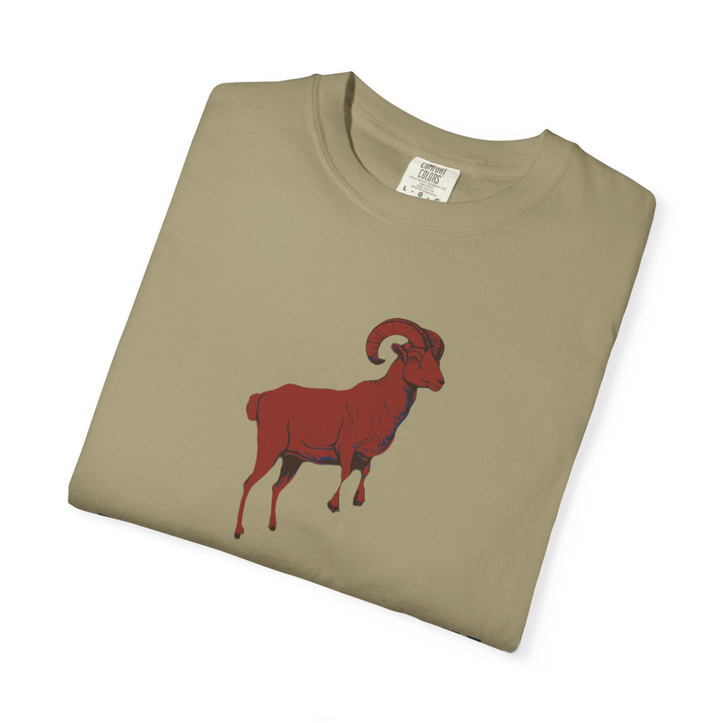 Zodiac Shirt - Aries Season Bold Impulsive and Fiercely Independent