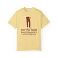 Thanksgiving Leftovers Shirt - Stretchy Pants Appreciation Society