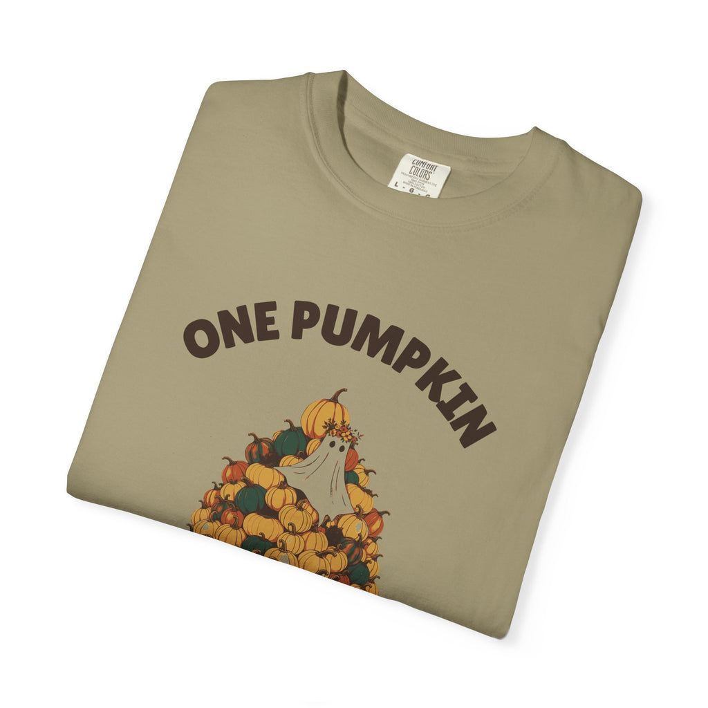 One Pumpkin Was Never the Plan Shirt Decor Lover Tee