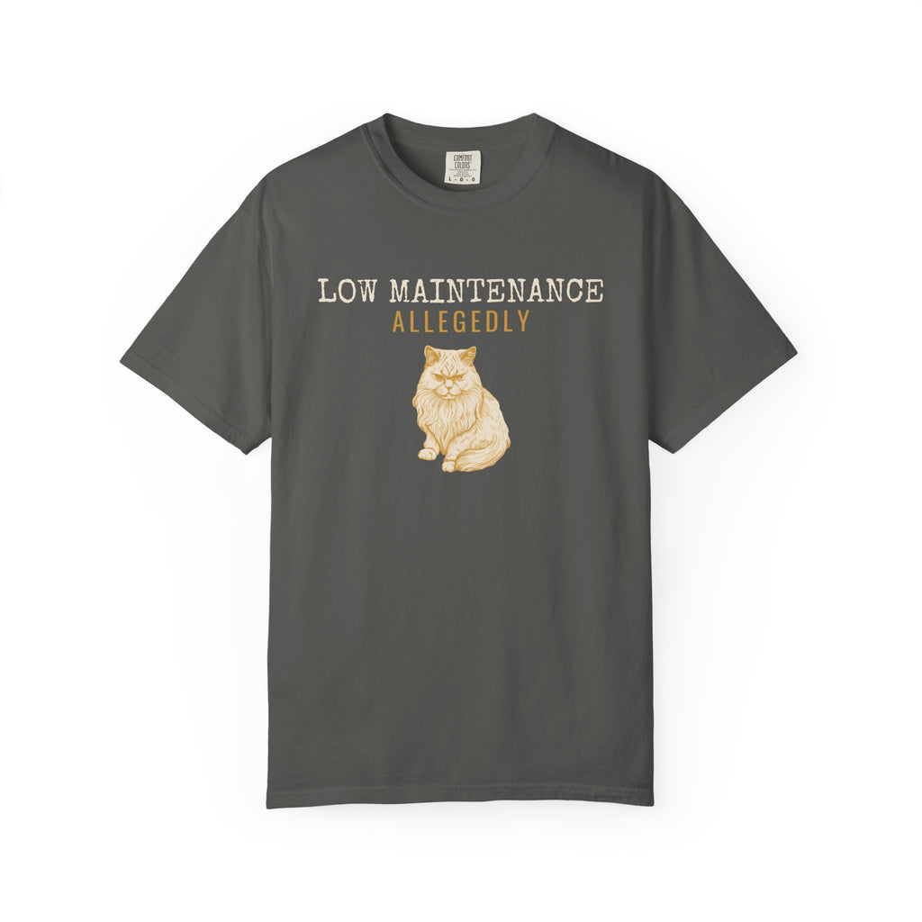 Foster Parent Shirt - Low Maintenance Allegedly Tee