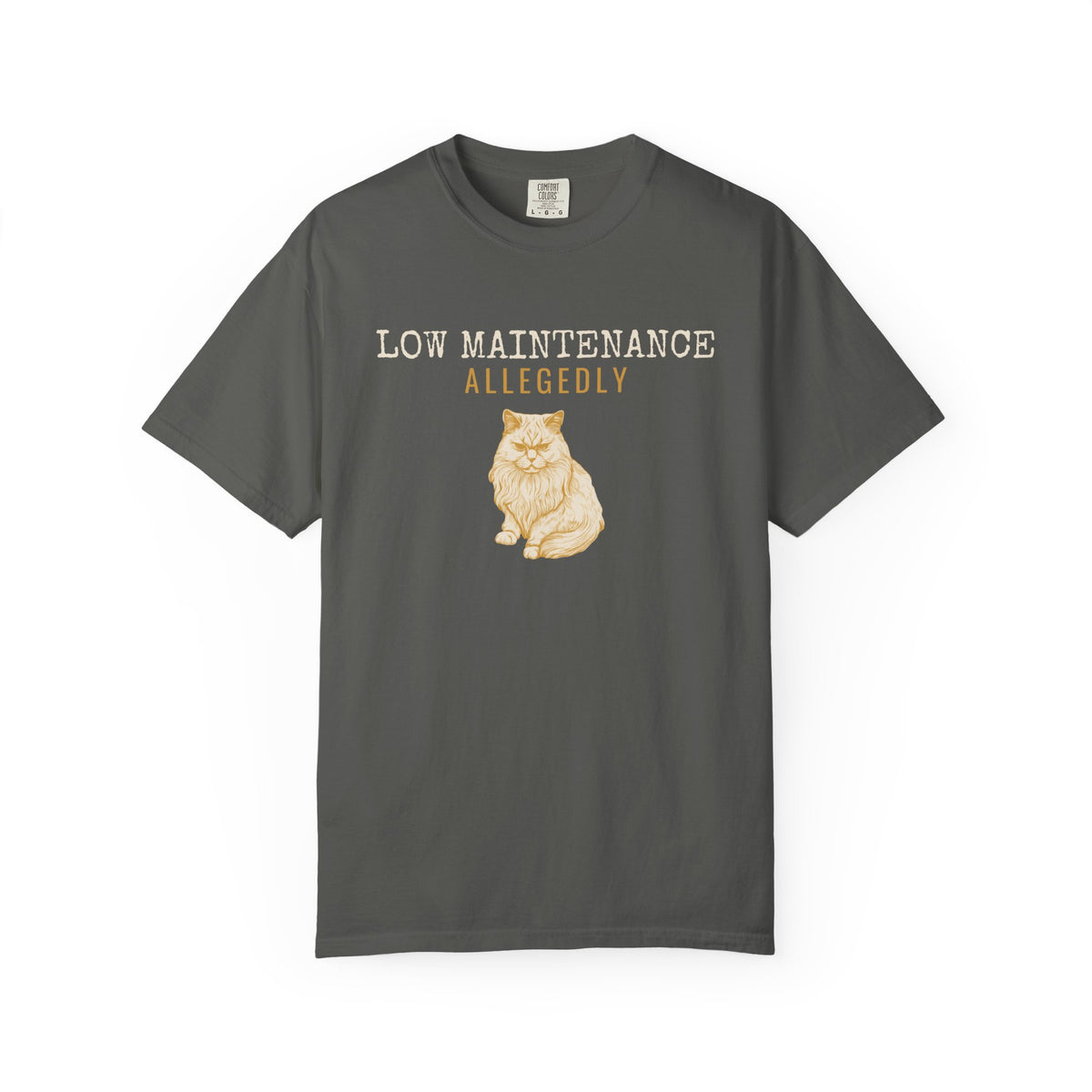 Foster Parent Shirt - Low Maintenance Allegedly Tee