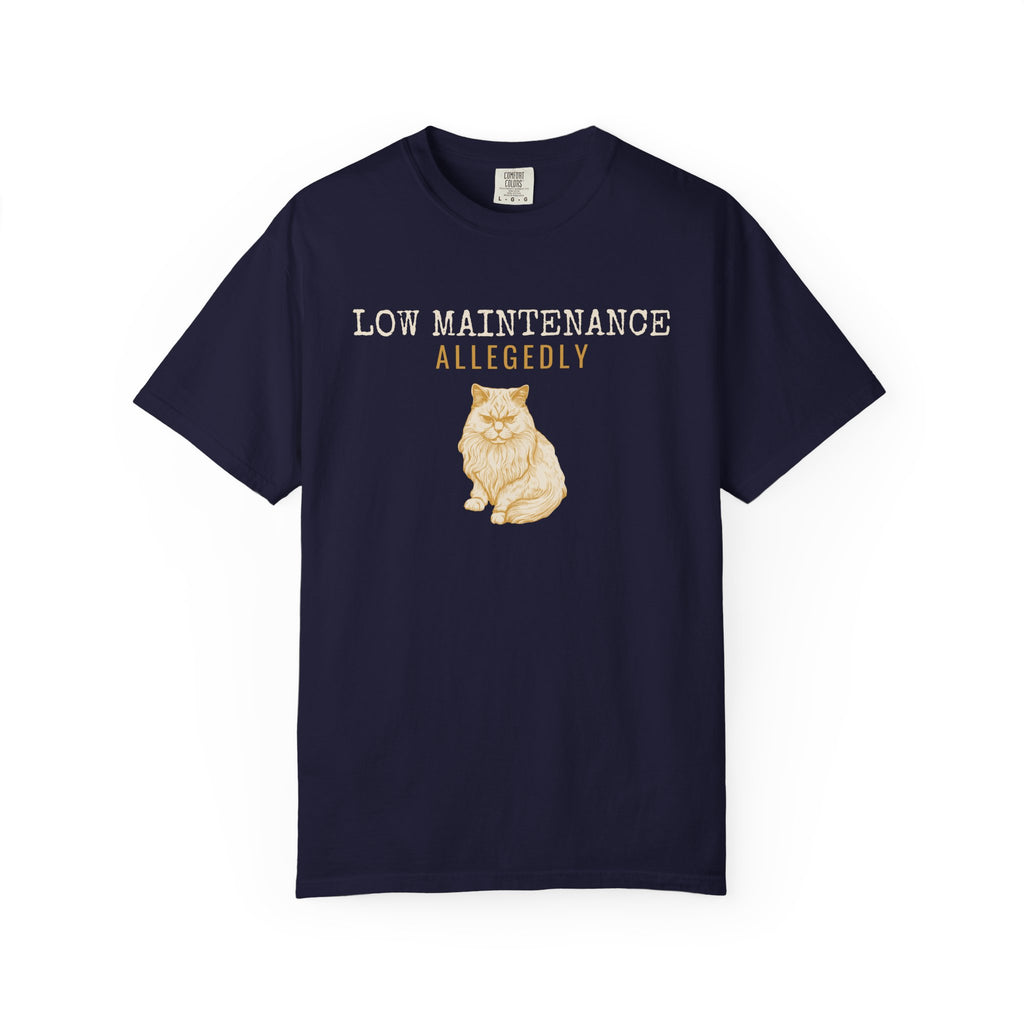 Foster Parent Shirt - Low Maintenance Allegedly Tee