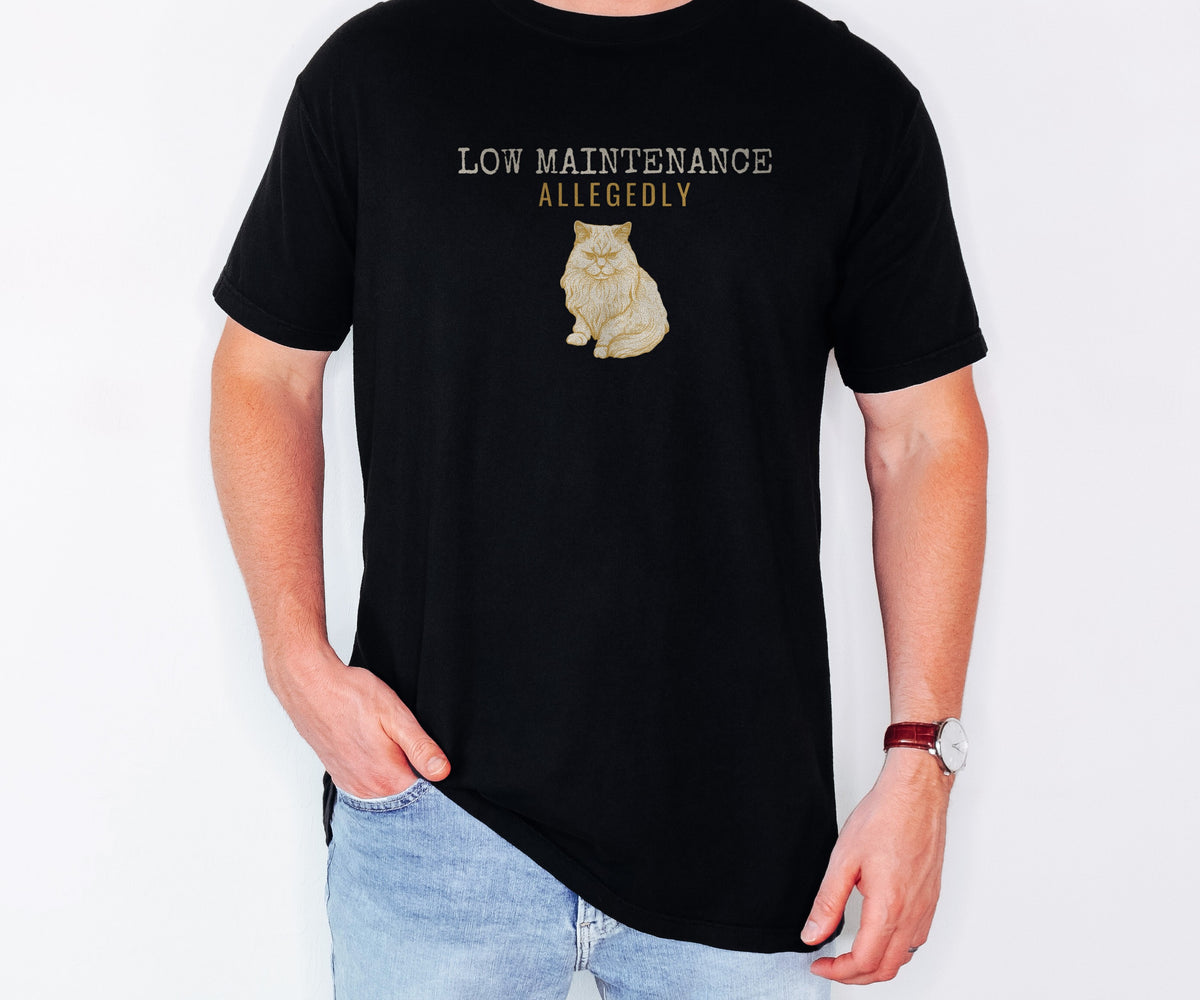 Foster Parent Shirt - Low Maintenance Allegedly Tee - photo 1