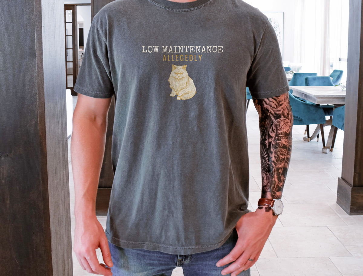 Foster Parent Shirt - Low Maintenance Allegedly Tee - photo 2