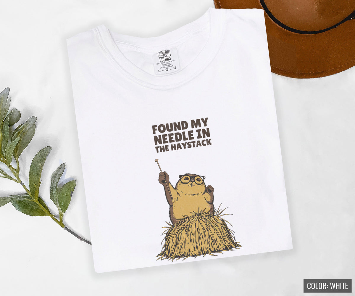 Vinyl Record Collector Shirt - Found My Needle in the Haystack Tee - photo 4
